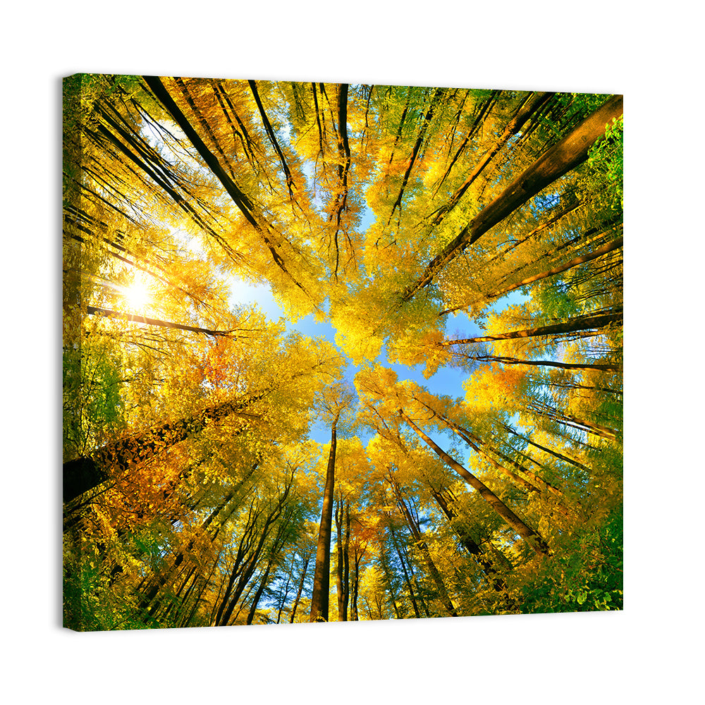 Golden Autumn Canopy Wall Art