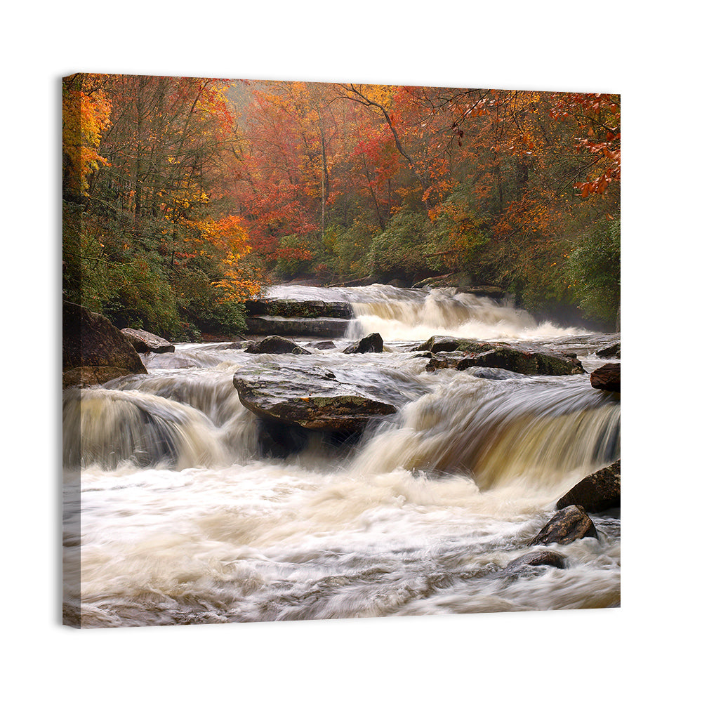 Carolina River in Autumn Wall Art