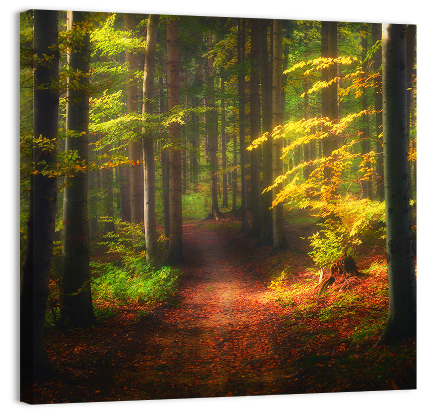 Autumn Forest Pathway Wall Art