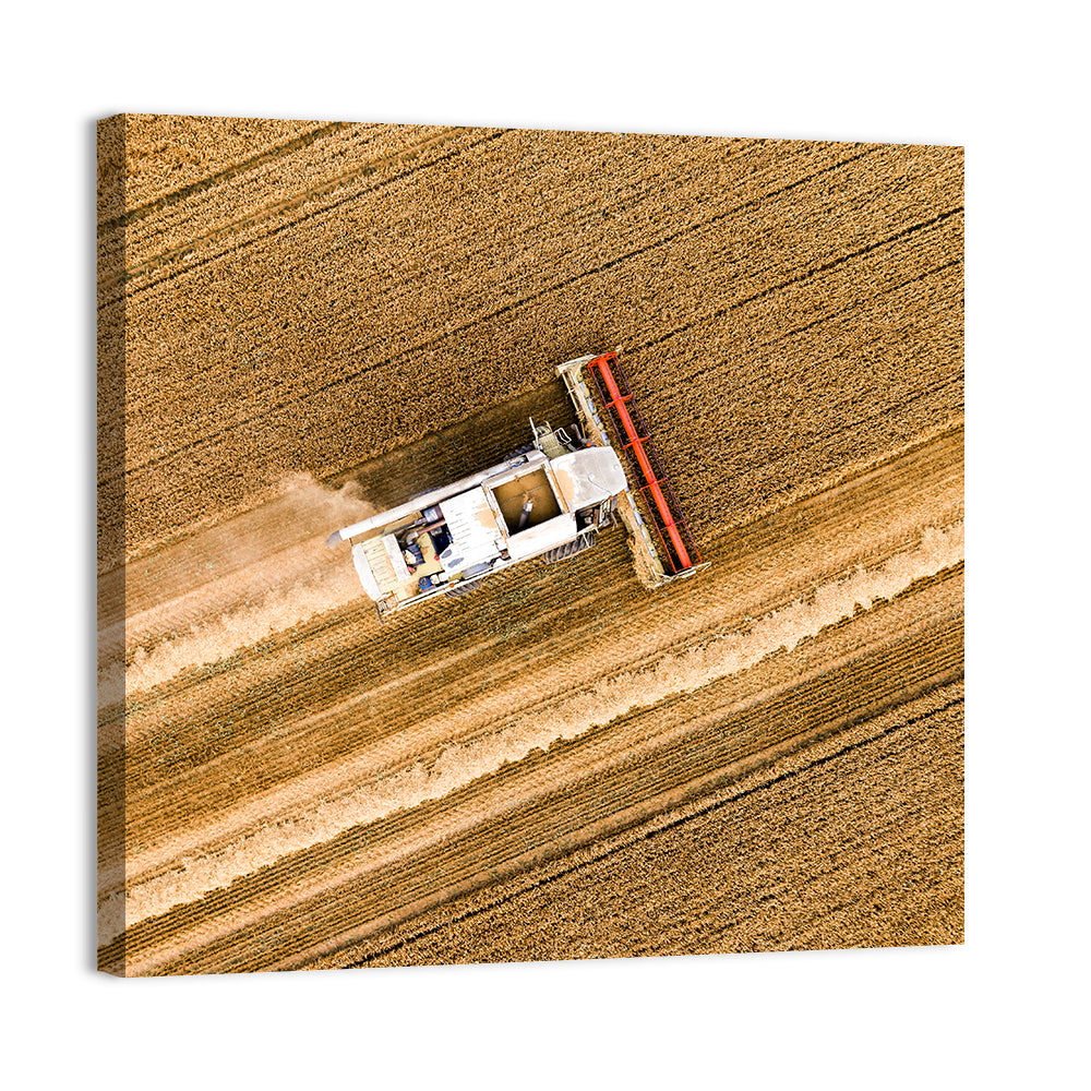 Aerial Combine Over Wheat Field Wall Art