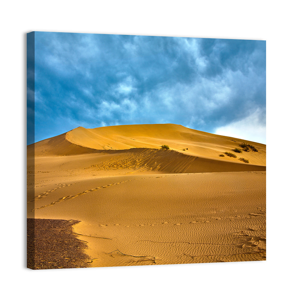 Altyn Emel Sand Dunes Wall Art