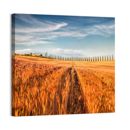 Tuscan Wheat Field Wall Art