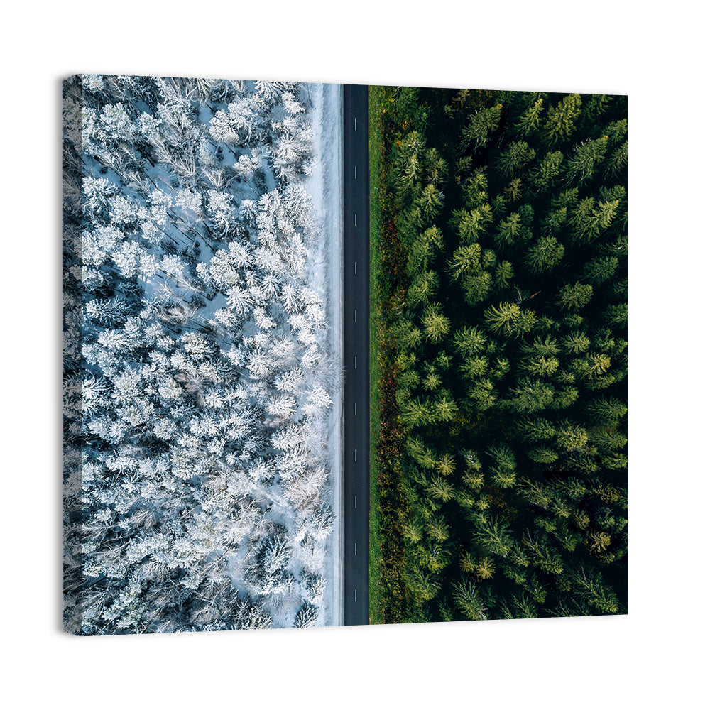 Summer and Winter Forests Wall Art, canvas print, square