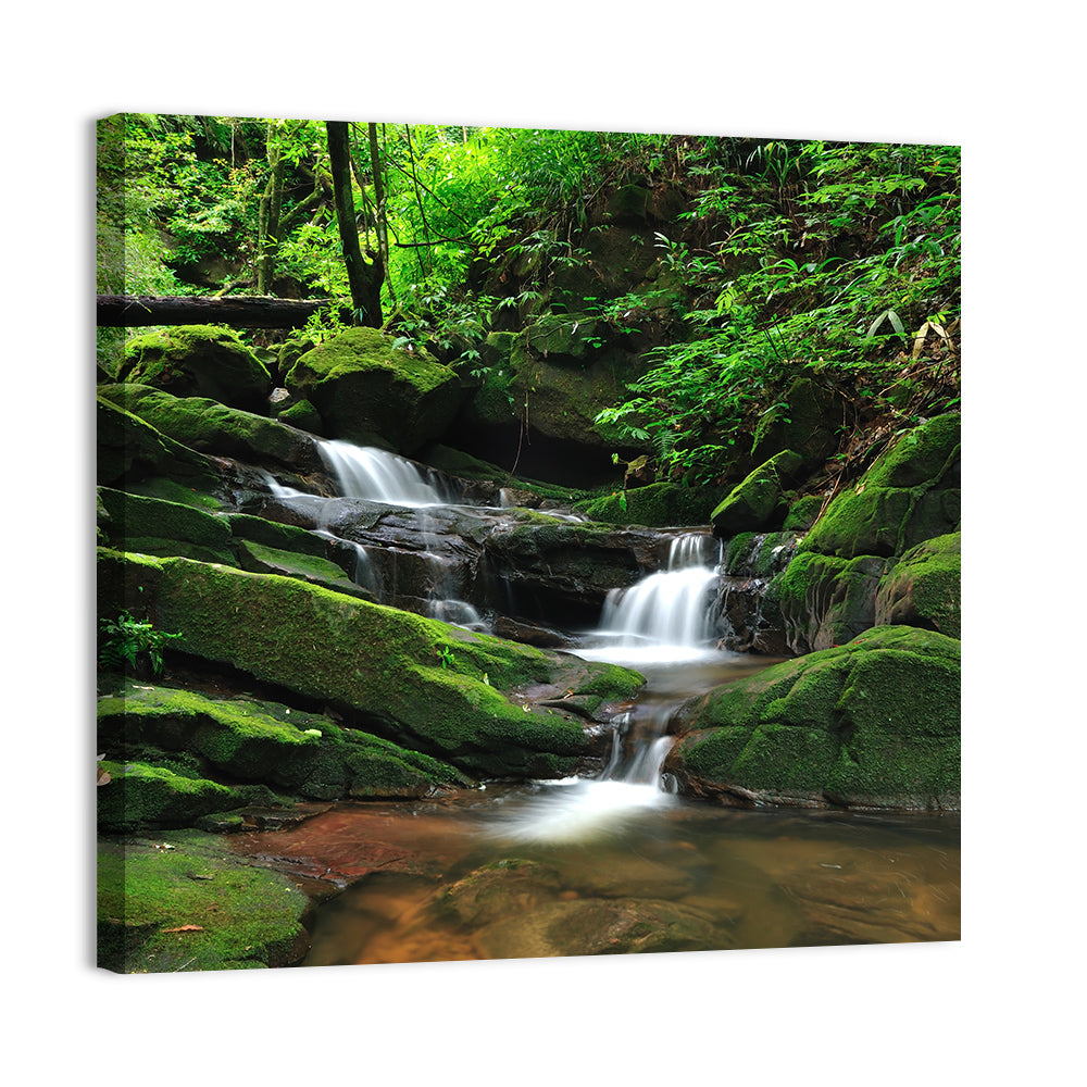 Mossy Rainforest Stream Wall Art, canvas print, square