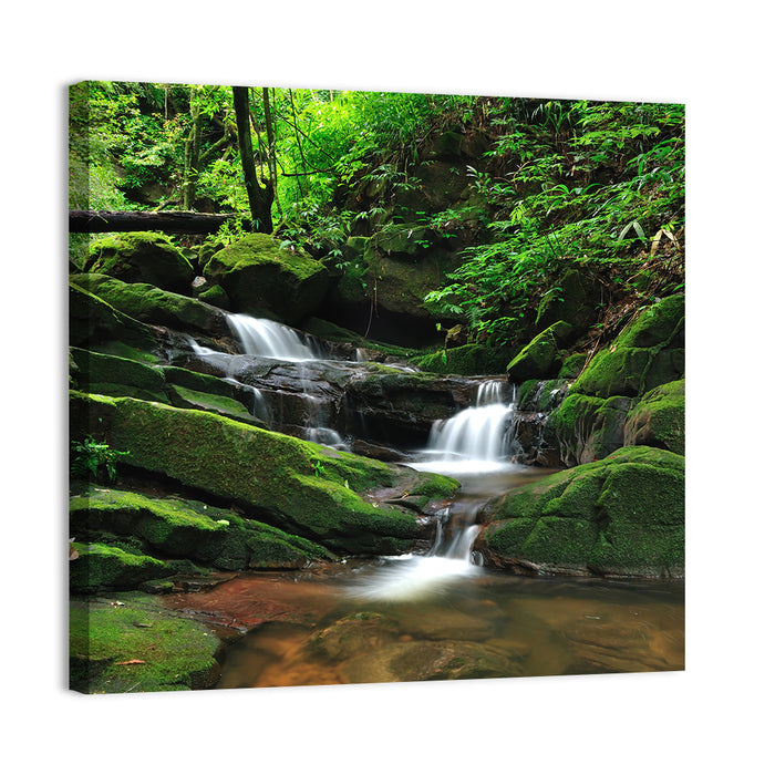 Mossy Rainforest Stream Wall Art as a canvas print