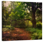 Sunlit Forest Trail Wall Art