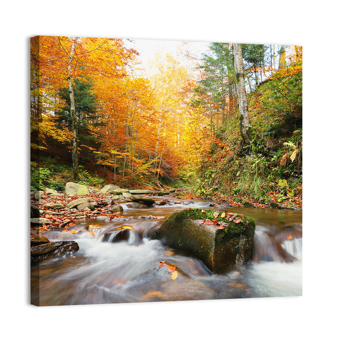 Forest Stream in Autumn Wall Art as a canvas print