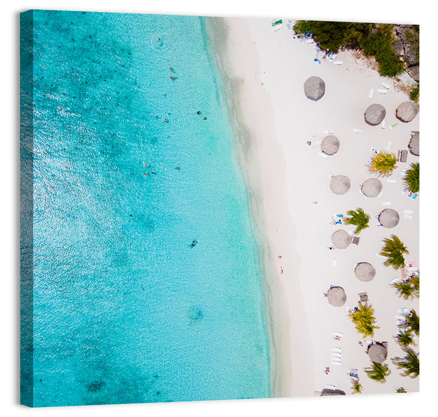 Cas Abou Aerial Shoreline Wall Art