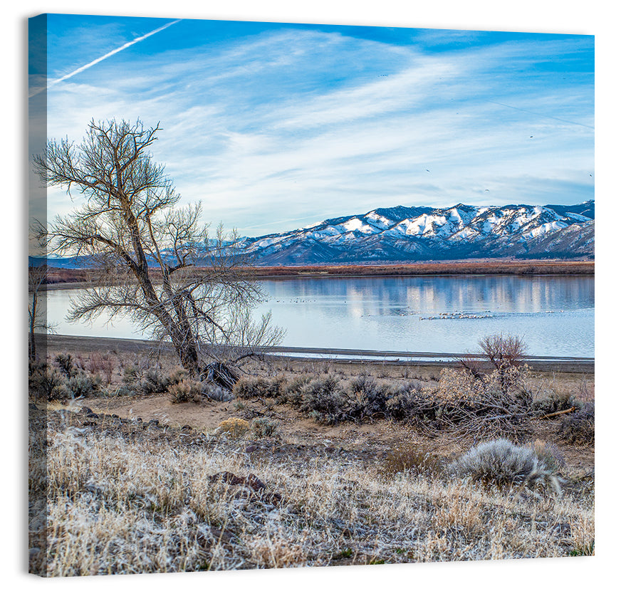 Winter Washoe Lake Morning Wall Art, canvas print, square