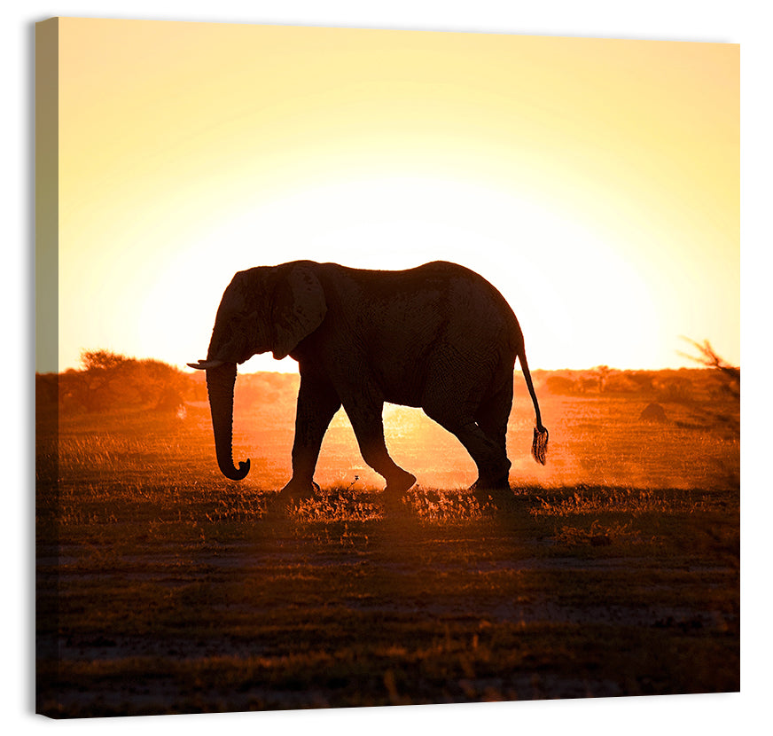 Golden Hour Elephant Silhouette Wall Art, canvas print, square