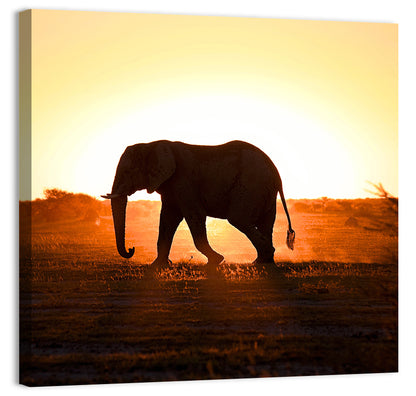 African Elephant Wall Art