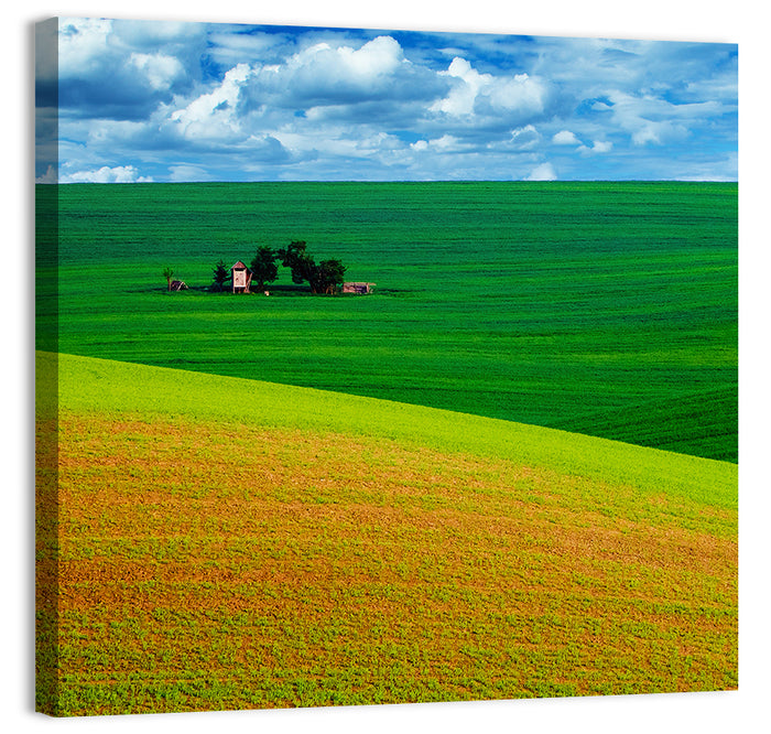 Golden Field and Green Hillside Wall Art as a canvas print