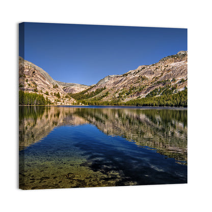 Tenaya Lake Wall Art