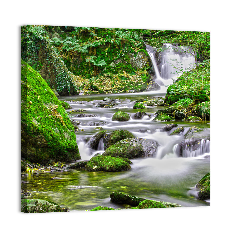 Mossy Forest Stream Wall Art