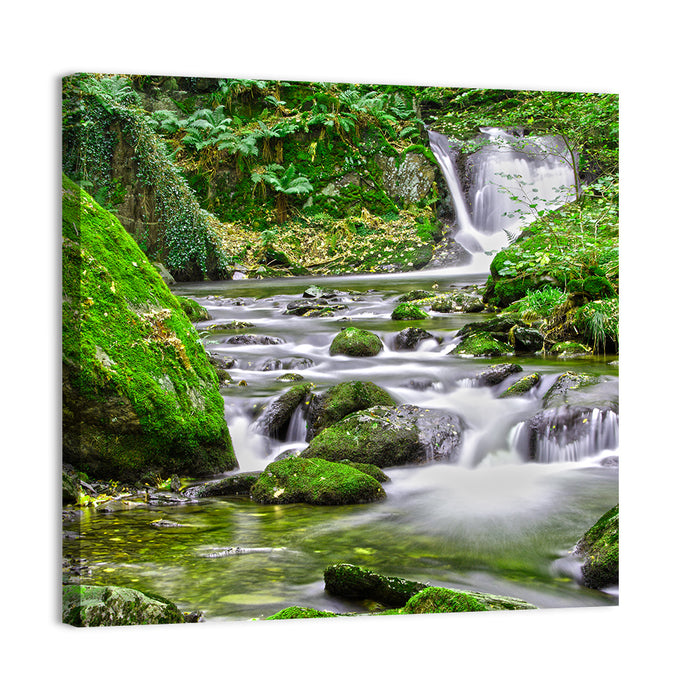Mossy Forest Stream Wall Art as a canvas print