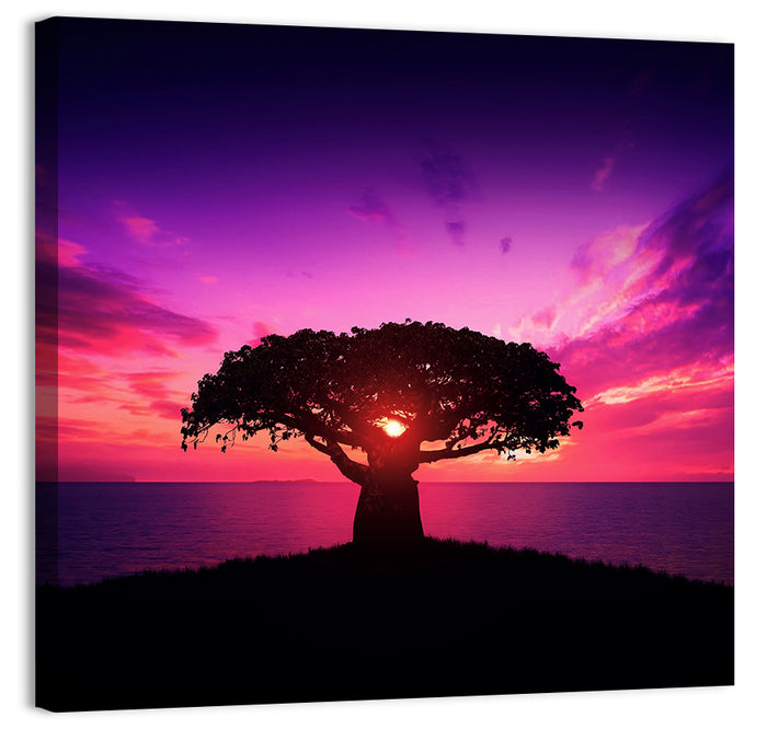 Baobab Sunset Silhouette Wall Art as a canvas print