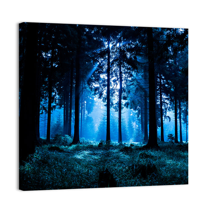 Thuringia Forest at Dusk Wall Art as a canvas print