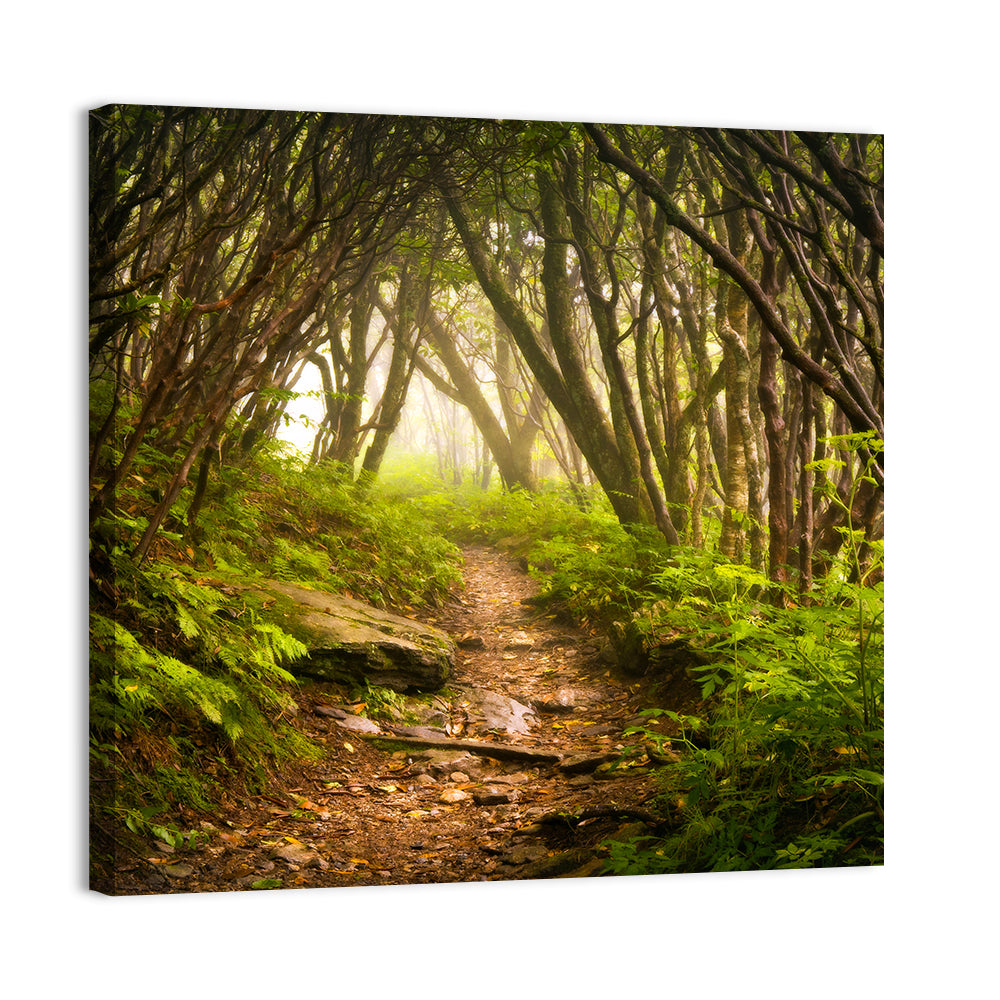 Craggy Gardens Hiking Trail Wall Art