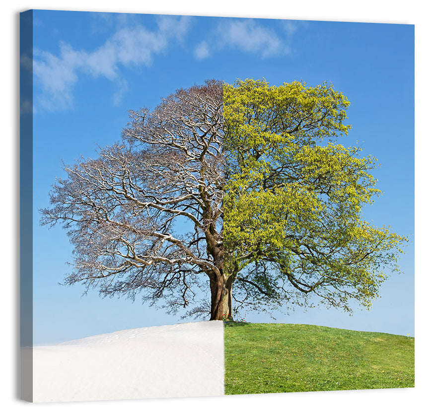 Split Season Tree Landscape Wall Art