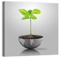 Young Plant on Globe Wall Art