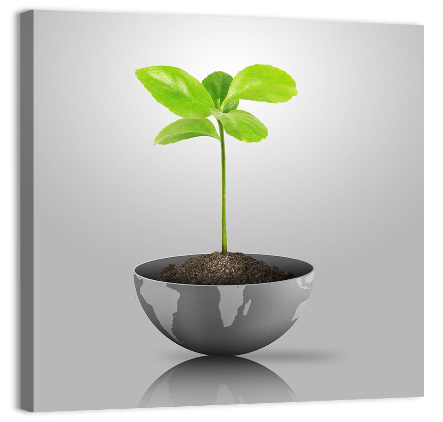 Young Plant on Globe Wall Art, canvas print, square