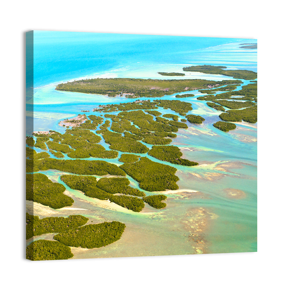 Florida Keys Mangrove Islands Wall Art, canvas print, square