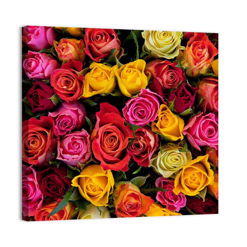 Multicolored Roses Close-up Wall Art