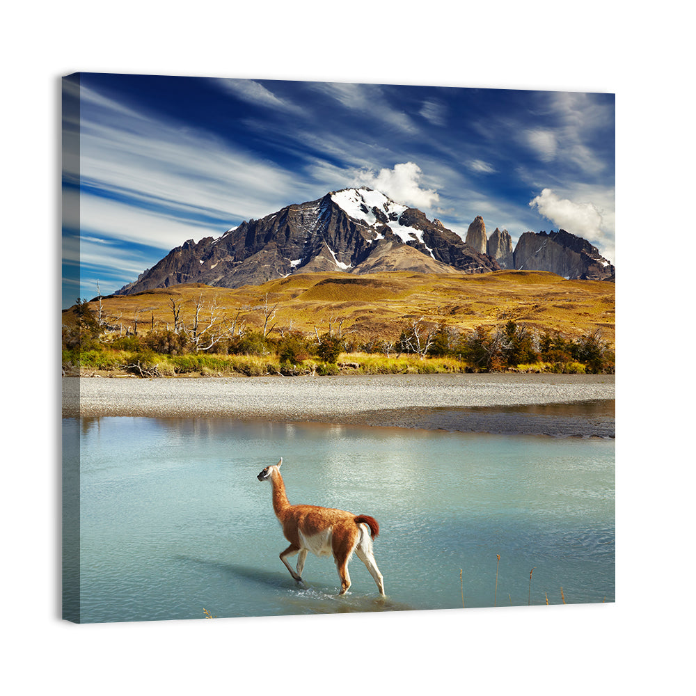 Torres Del Paine, Patagonia Wall Art, canvas print, square