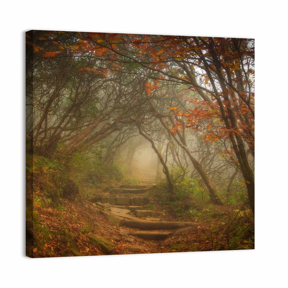 Craggy Garden Path Wall Art, canvas print, square