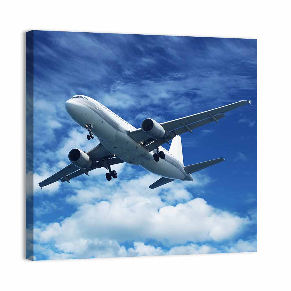 Passenger Airplane Wall Art