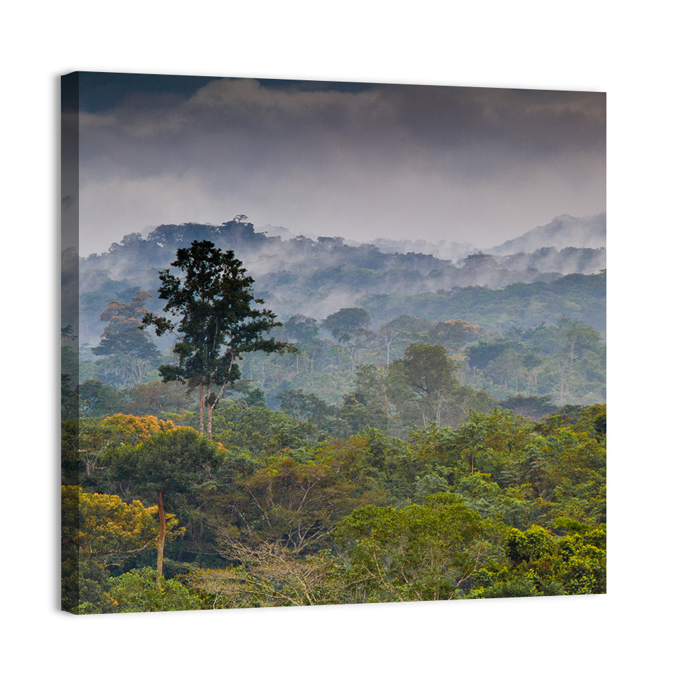 Guinea Rainforest Landscape Wall Art, canvas print, square