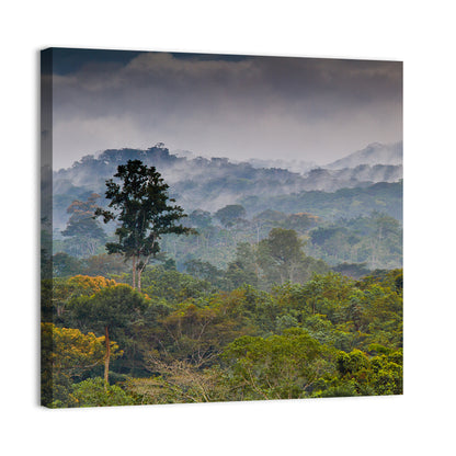 Rain Forest Guinea Wall Art