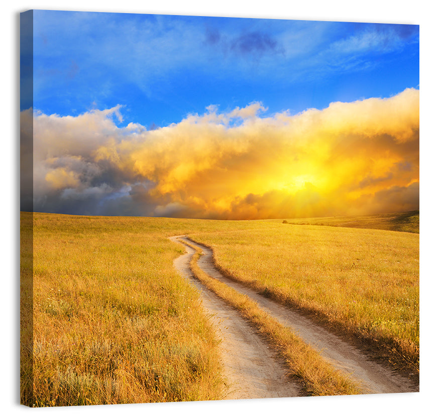 Sunlit Meadow Path with Dramatic Clouds Wall Art, canvas print, square