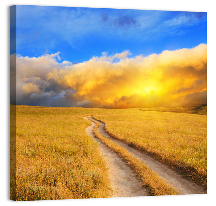 Sunlit Meadow Path with Dramatic Clouds Wall Art as a canvas print