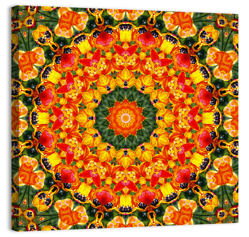 Colorful Mandala Wall Art