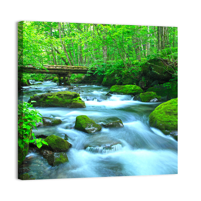 Mossy Forest Stream Wall Art as a canvas print
