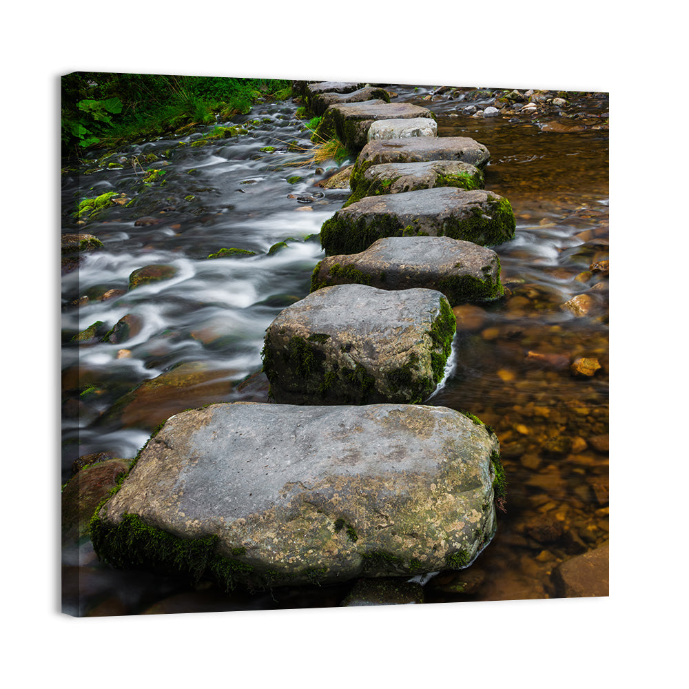 Mossy Stepping Stones Over Stream Wall Art