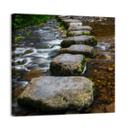 Mossy Stepping Stones Over Stream Wall Art