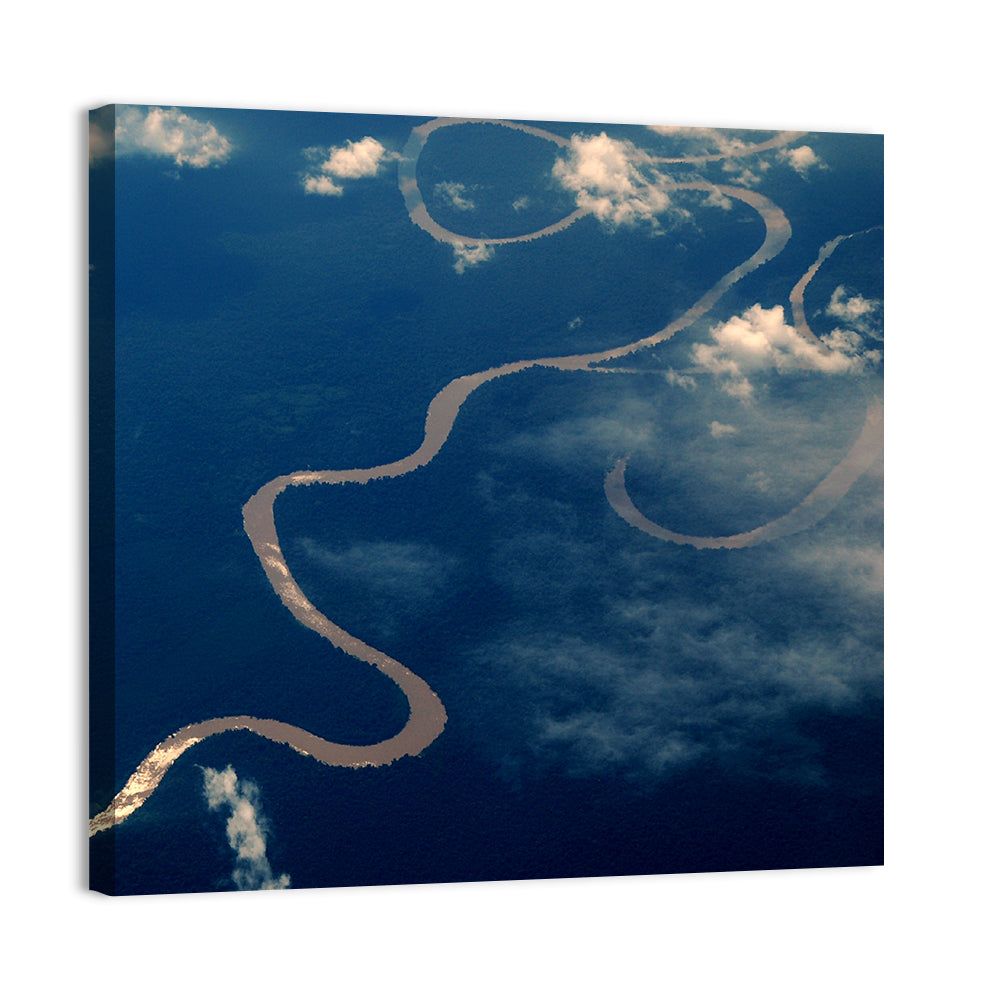 Sunlit Meander of the Amazon River Wall Art, canvas print, square