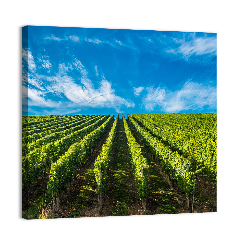 Luxembourg Vineyards Wall Art