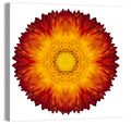 Kaleidoscopic Strawflower Mandala Wall Art
