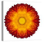 Kaleidoscopic Strawflower Mandala Wall Art