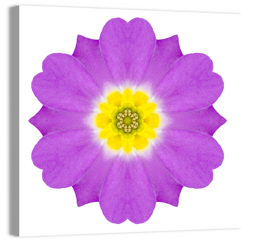 Kaleidoscopic Primrose Mandala Wall Art