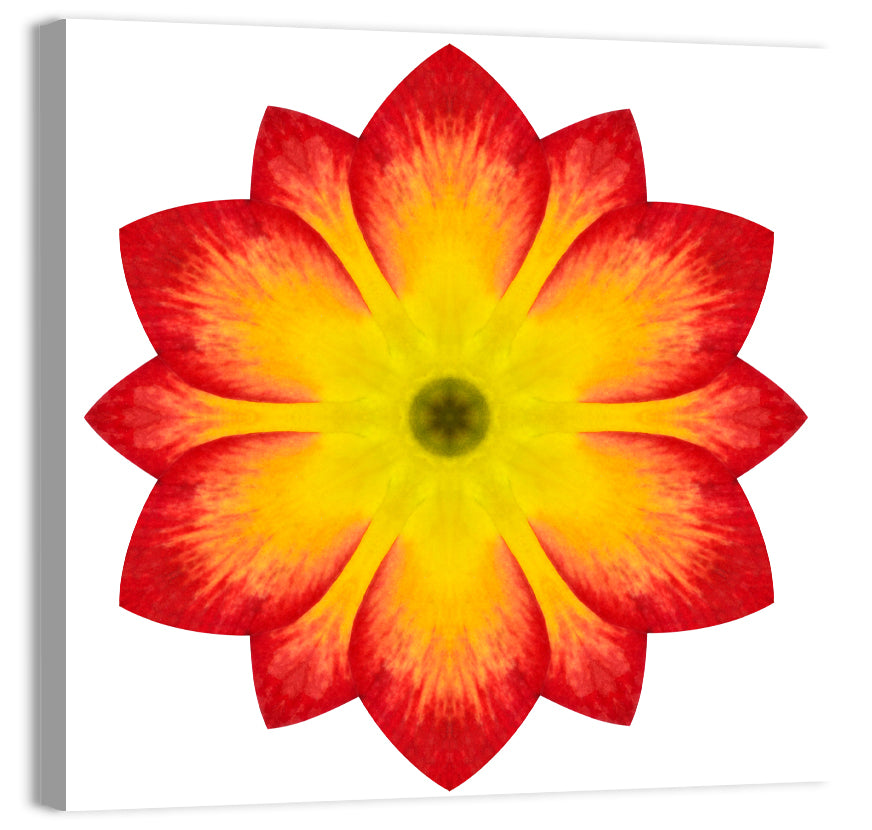 Primrose Radial Mandala Wall Art