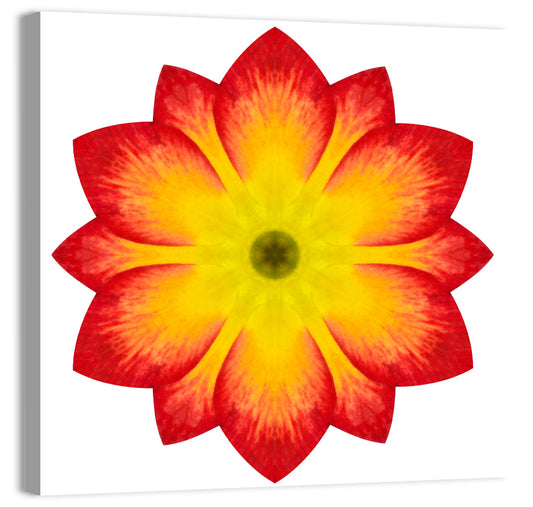 Primrose Mandala Abstract Wall Art