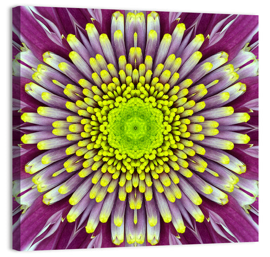 Concentric Flower Wall Art