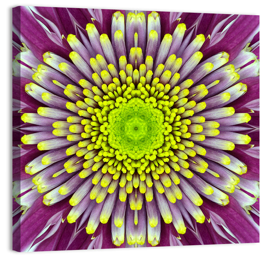 Concentric Flower Wall Art