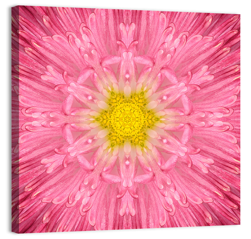 Pink Chrysanthemum Mandala Bloom Wall Art