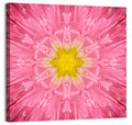 Pink Chrysanthemum Mandala Bloom Wall Art