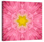 Pink Chrysanthemum Mandala Bloom Wall Art